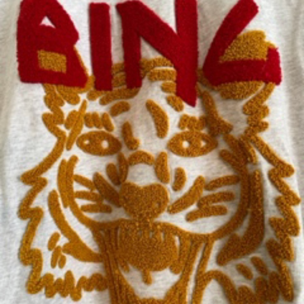 Anine Bing Designer tee shirt with tiger